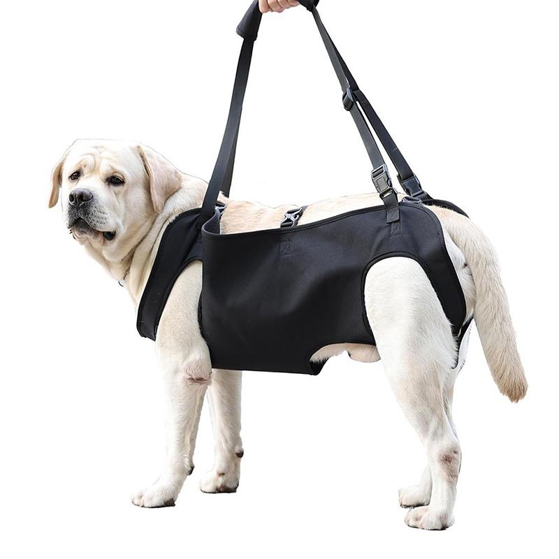 Coleira de Assistência para Cã - Harness Climbing Adjustable avaliação e preço